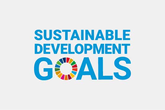 SDGs(持続可能な開発目標)からのテーマ設定